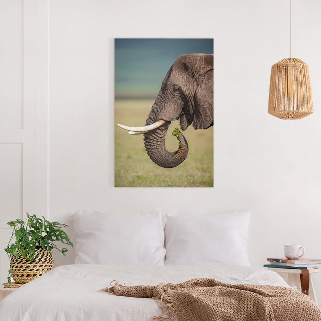 Obrazy do salonu Karmienie słoni w Afryce