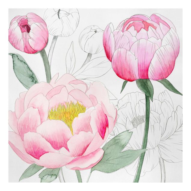 Obraz różowy Rysowanie różowych peonii II