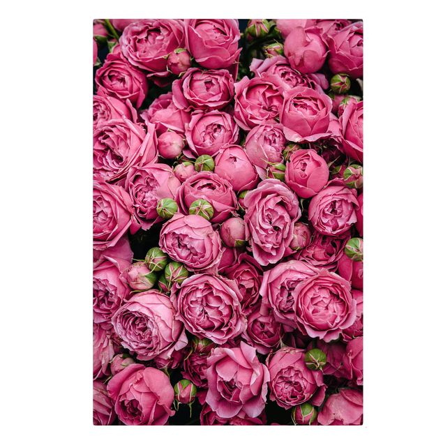 Obrazy kwiatowe Różowe piwonie