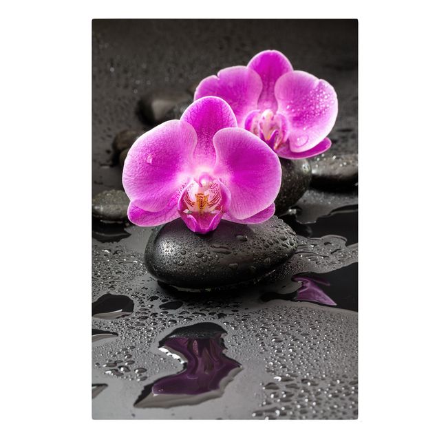 Obrazy duchowość Kwiaty różowej orchidei na kamieniach z kroplami