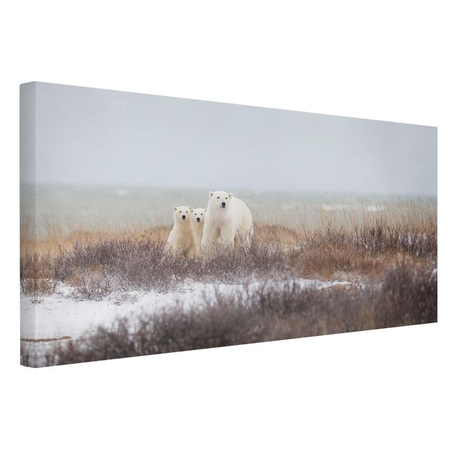 Obrazy nowoczesny Niedźwiedzica polarna i jej młode