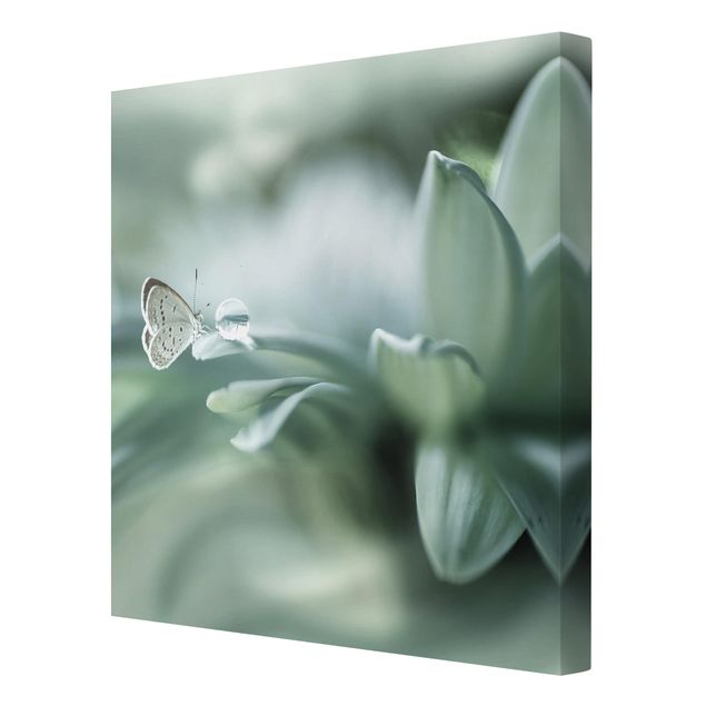 Zielony obraz Motyl i krople rosy w pastelowej zieleni