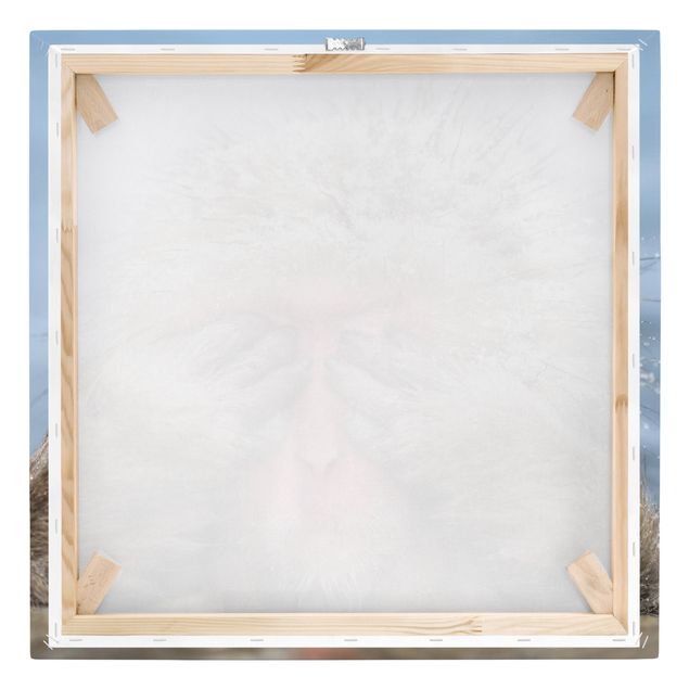 Obrazy na płótnie zwierzęta Japońska małpa śnieżna
