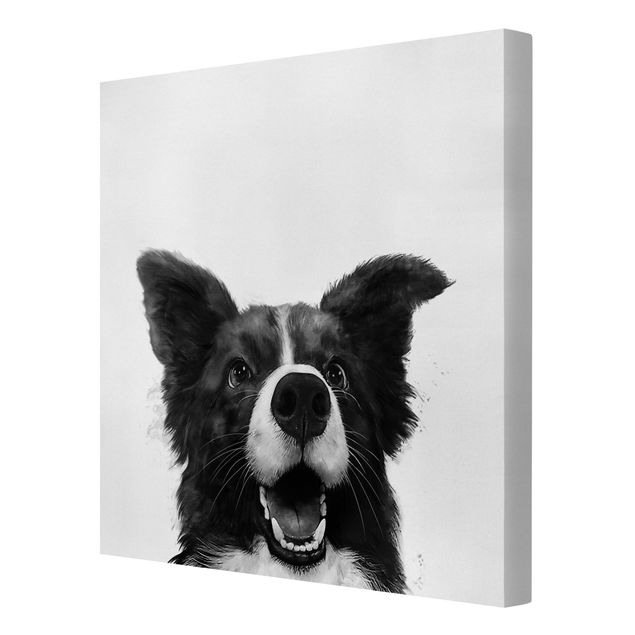Czarno białe obrazki Ilustracja pies Border Collie czarno-biały malarstwo