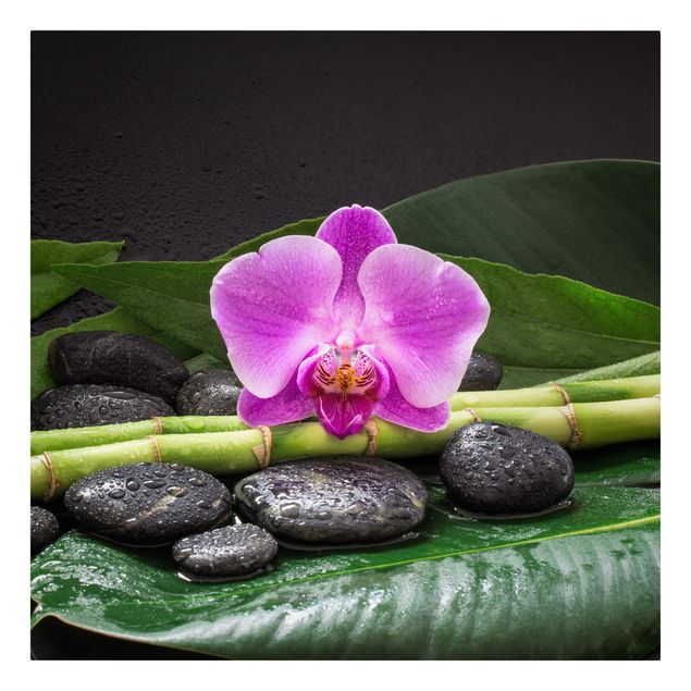 Nowoczesne obrazy Zielony bambus z kwiatem orchidei