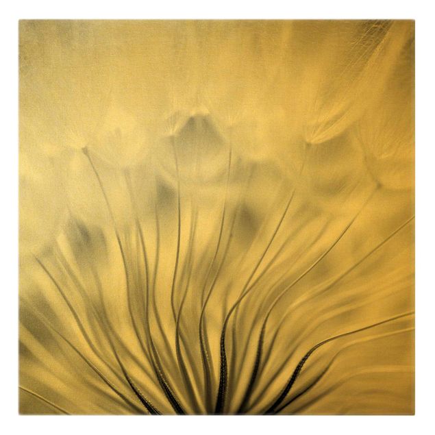 Obrazy motywy kwiatowe Dreamy Dandelion czarno-biały