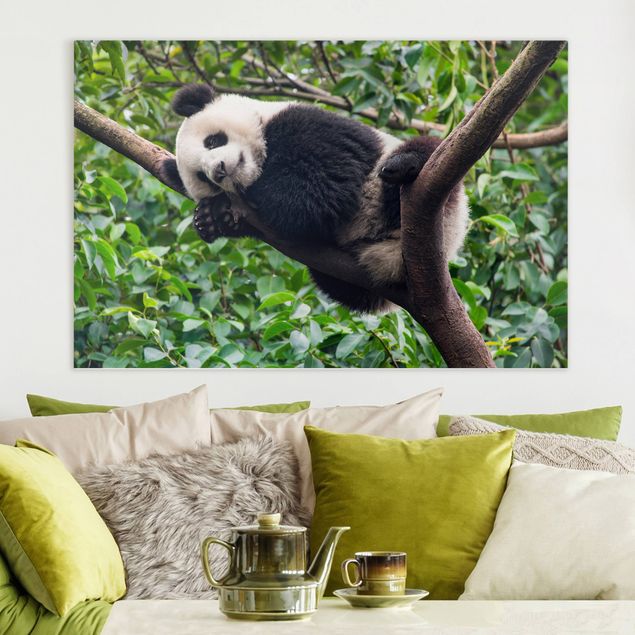 Dekoracja do kuchni Śpiąca panda na gałęzi