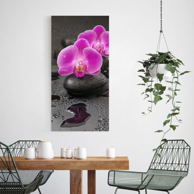 Obrazy na płótnie orchidea Kwiaty różowej orchidei na kamieniach z kroplami