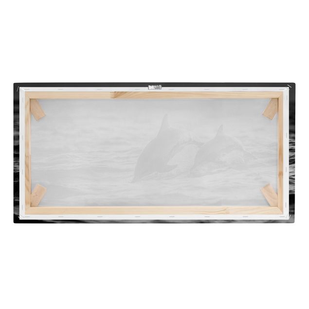 Obraz na płótnie czarno biały Dwa skaczące delfiny