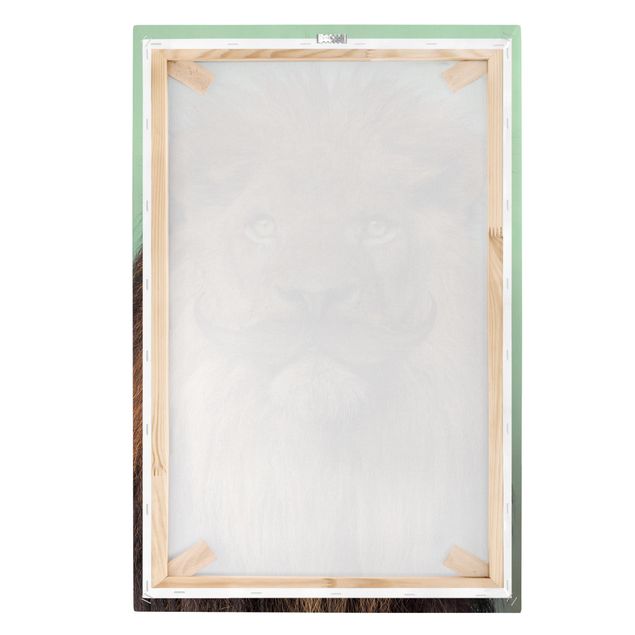 Obraz lwa na płótnie Lew z brodą