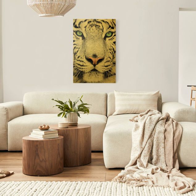 Obrazy zwierzęta Biały tygrys