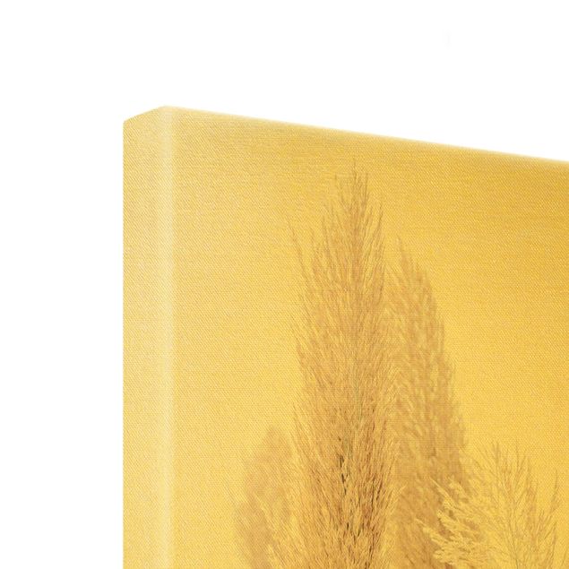 Złoty obraz na płótnie - Trawa pampasowa w białym świetle