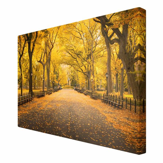 Obrazy na płótnie Nowy Jork Jesień w Central Parku