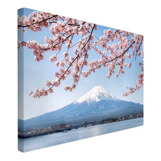 Nowoczesne obrazy do salonu Kwiaty wiśni z górą Fuji