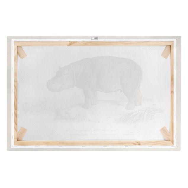 Obrazy retro Tablica edukacyjna w stylu vintage Hipopotam