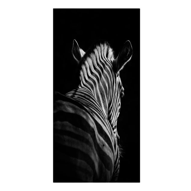 Obrazy zebra Sylwetka zebry ciemnej