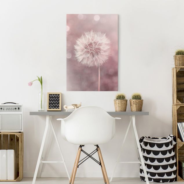 Obrazy nowoczesny dandelion bokeh różowy