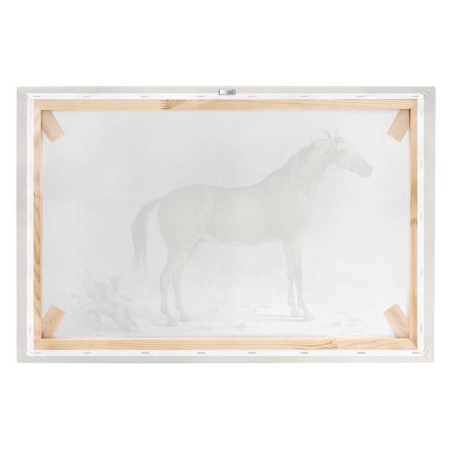 Obraz konie na płótnie Tablica edukacyjna w stylu vintage Koń