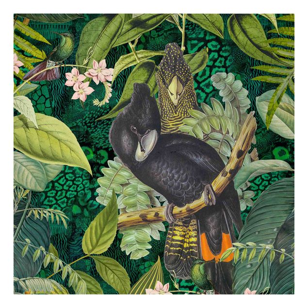 Obrazy dżungla Kolorowanka - Kakadu w dżungli