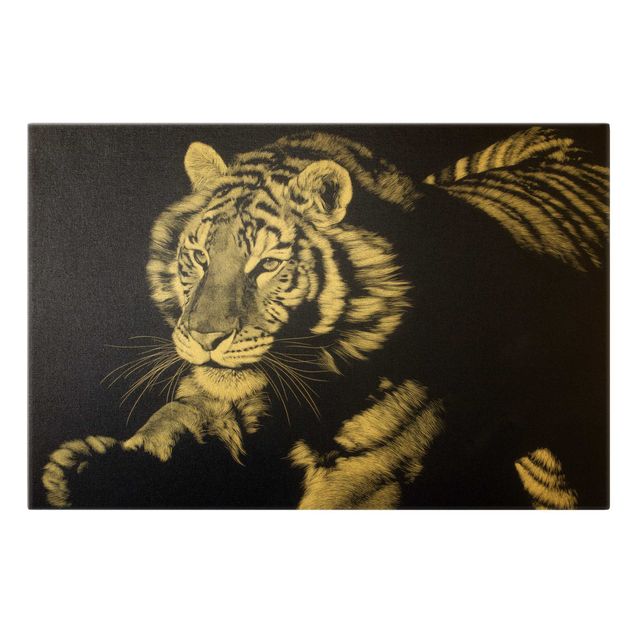 Tygrys obraz Tygrys w świetle słonecznym na tle czarnego nieba