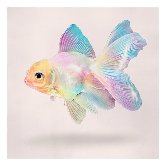 Obrazy z rybami Ryby w pastelach