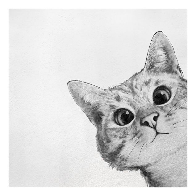 Koty obrazy Ilustracja kota Rysunek czarno-biały