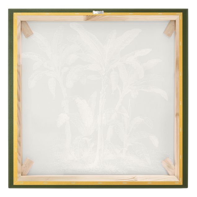 Obrazy na płótnie Ilustracja przedstawiająca palmy bananowe na tle zieleni