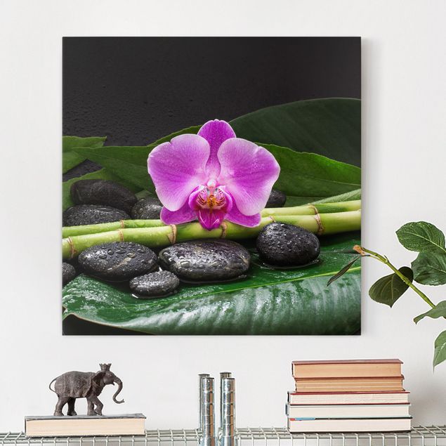 Obrazy orchidea Zielony bambus z kwiatem orchidei