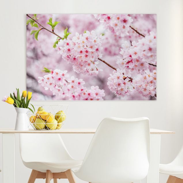 Obrazy Azja Japońskie kwiaty wiśni