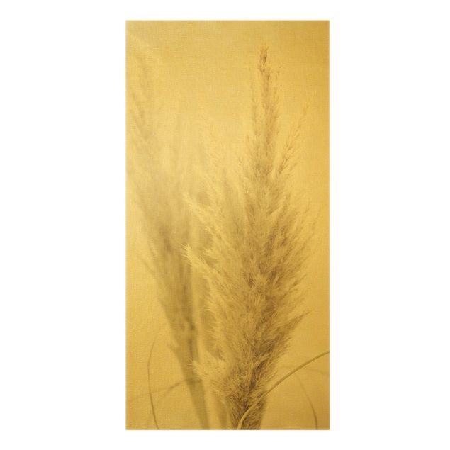 Obrazy na ścianę Puszysta trawa pampasowa