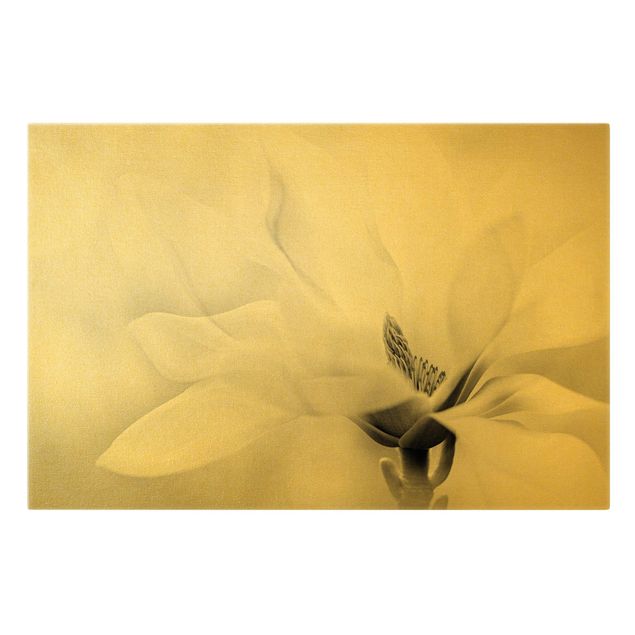 Obrazy na ścianę Czarno-biały kwiat magnolii