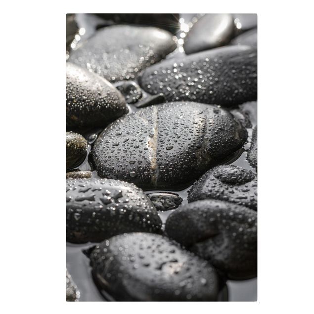 Artystyczne obrazy Czarne kamienie w wodzie
