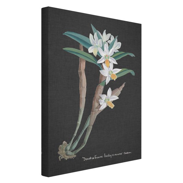 Obrazy do salonu nowoczesne Biała orchidea na lnie I