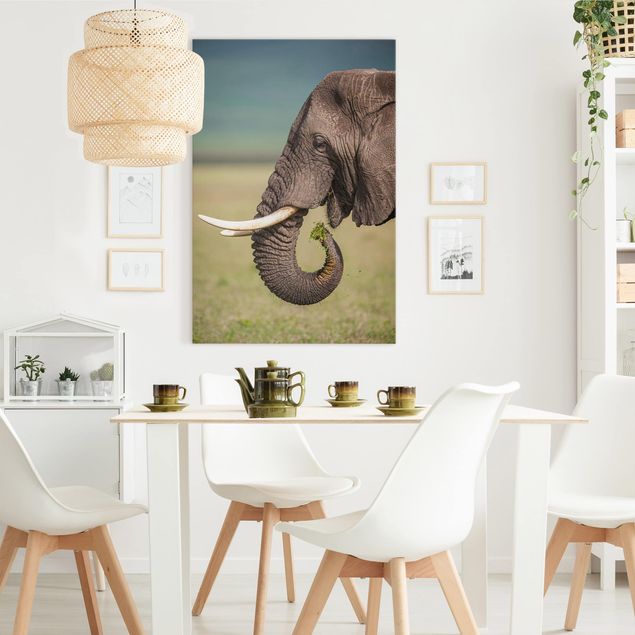 Obrazy nowoczesne Karmienie słoni w Afryce