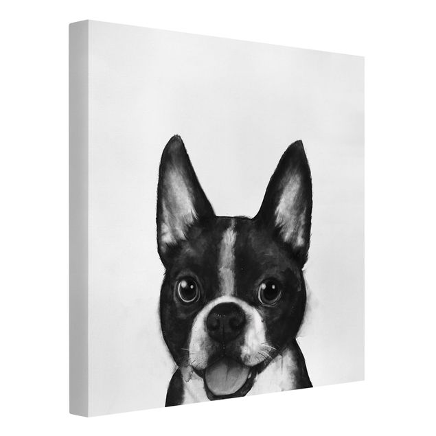 Obrazy ze zwierzętami Ilustracja pies Boston czarno-biały Painting