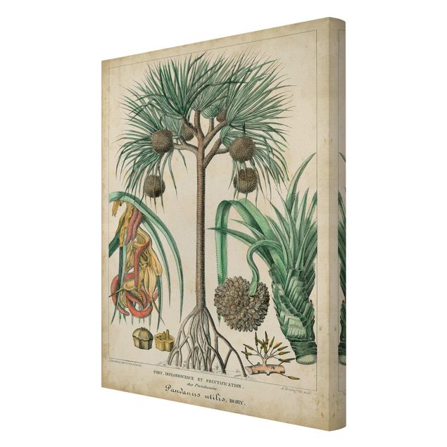 Zielony obraz Tablica edukacyjna w stylu vintage Palmy egzotyczne I