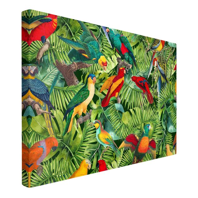 Zwierzęta obrazy Kolorowy kolaż - Papugi w dżungli