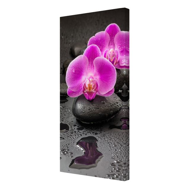 Obrazy nowoczesne Kwiaty różowej orchidei na kamieniach z kroplami