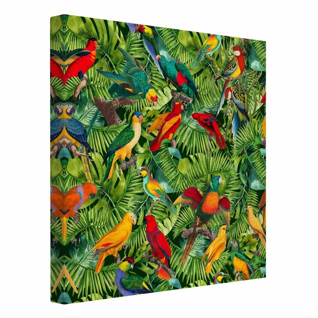 Zwierzęta obrazy Kolorowy kolaż - Papugi w dżungli