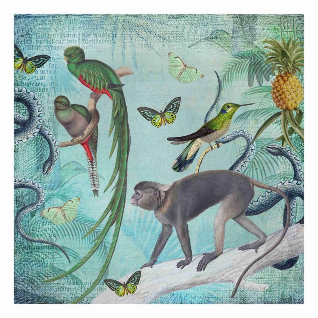 Obrazy zwierzęta Kolaże w stylu kolonialnym - małpy i rajskie ptaki