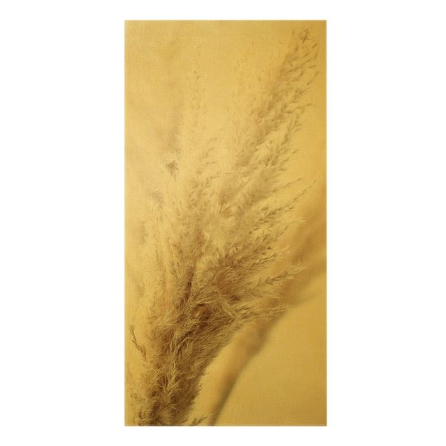 Obrazy na ścianę Makrofotografia trawy pampasowej