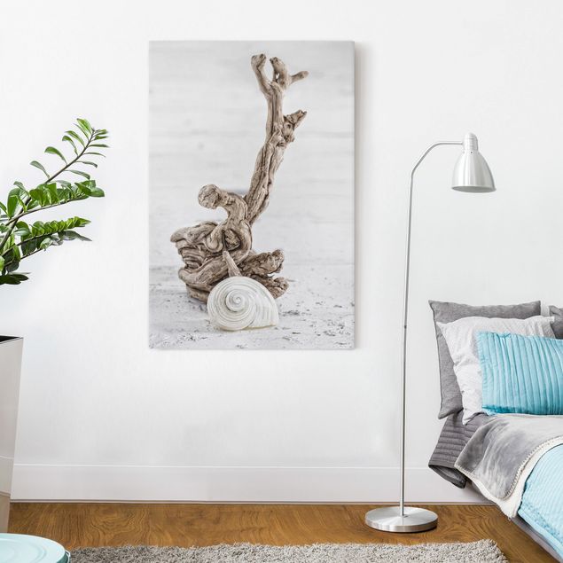 Obrazy do salonu nowoczesne Biała skorupa ślimaka i drewno korzeniowe