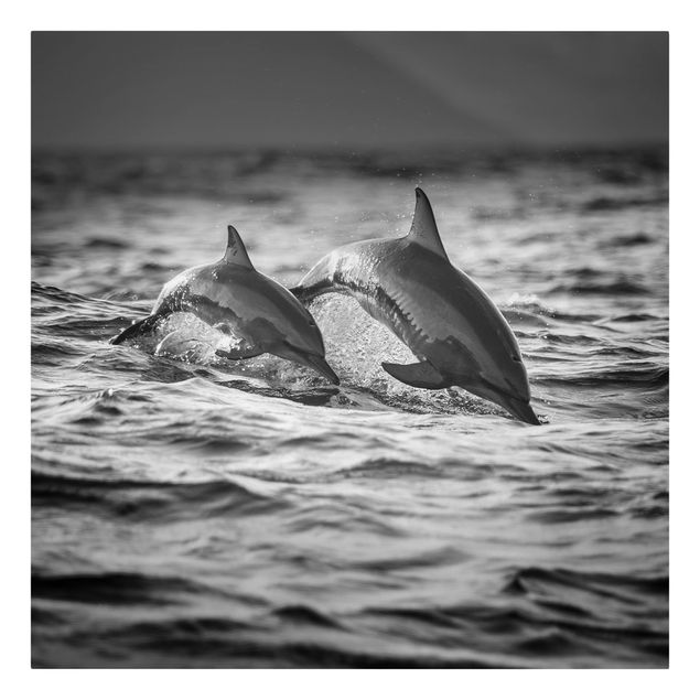 Obrazy z rybami Dwa skaczące delfiny