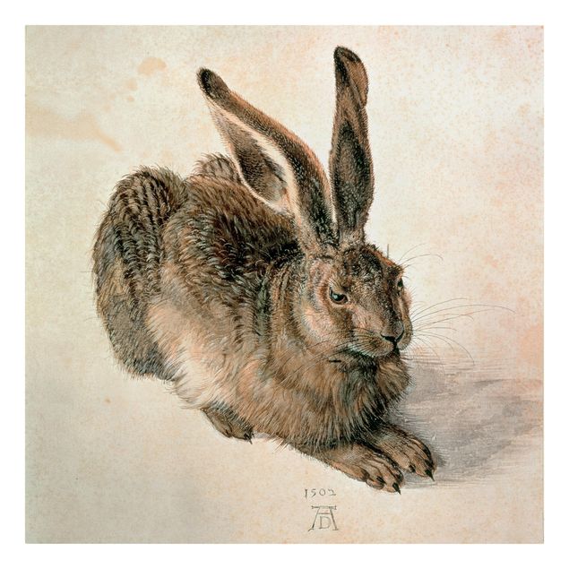 Obrazy vintage Albrecht Dürer - Młody zając szarak