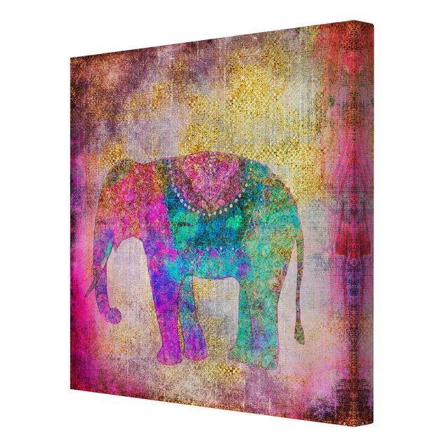 Obrazy zwierzęta Kolorowy kolaż - Słoń indyjski