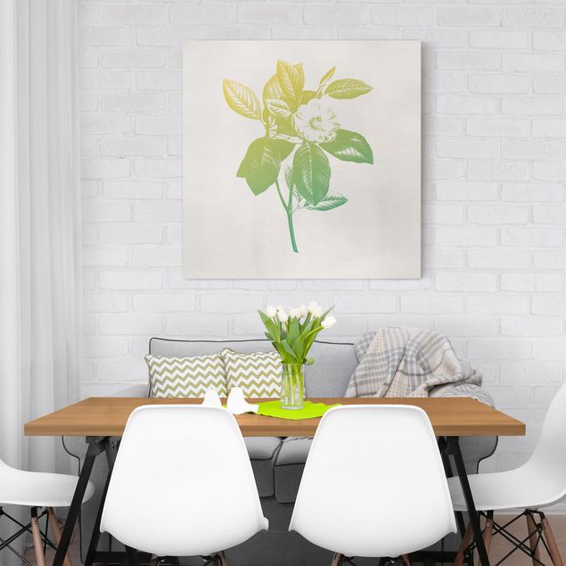 Nowoczesne obrazy do salonu Nowoczesna botanika w stylu vintage Botanika Kwiat wiśni Zielony Żółty