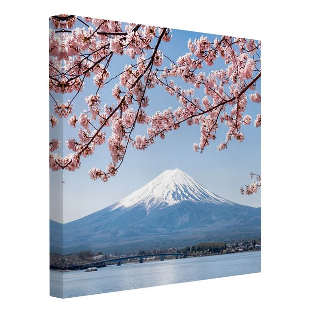 Nowoczesne obrazy do salonu Kwiaty wiśni z górą Fuji