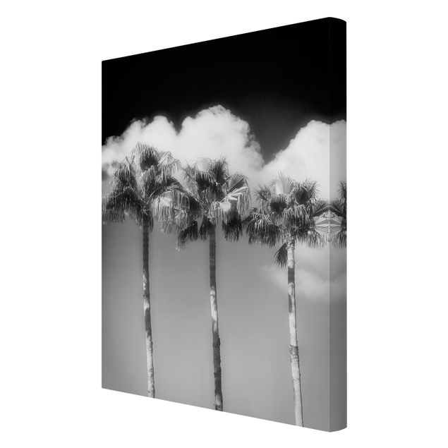 Obrazy kwiatowe Palmy na tle nieba, czarno-białe