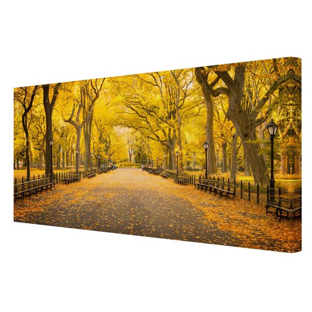Obrazy na płótnie Nowy Jork Jesień w Central Parku