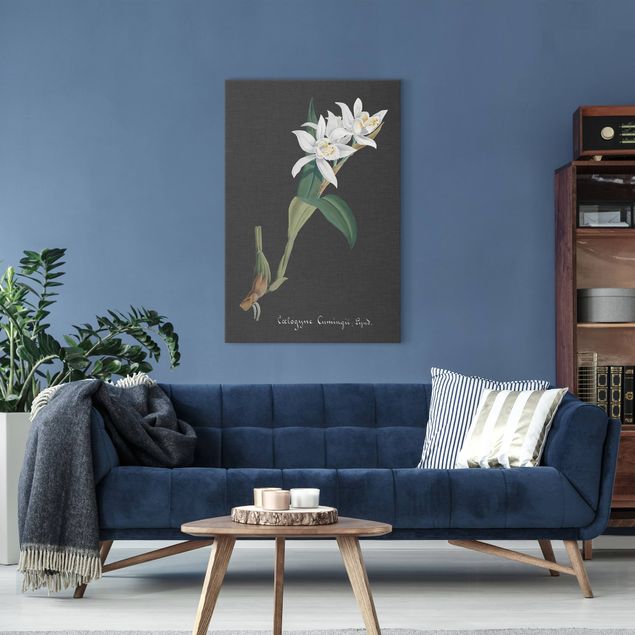 Obrazy na płótnie orchidea Biała orchidea na lnie II